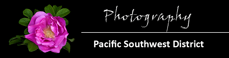 pswd photography
